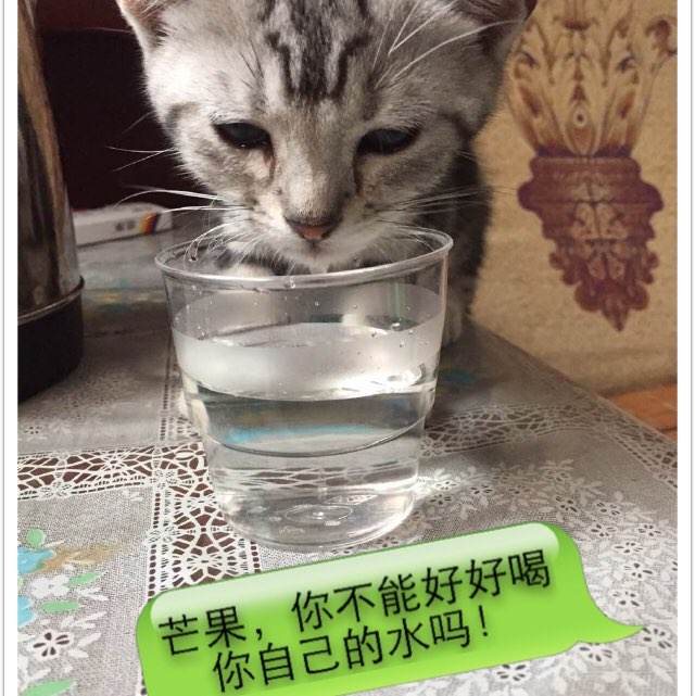 怎么购买美国戏剧学院学位证